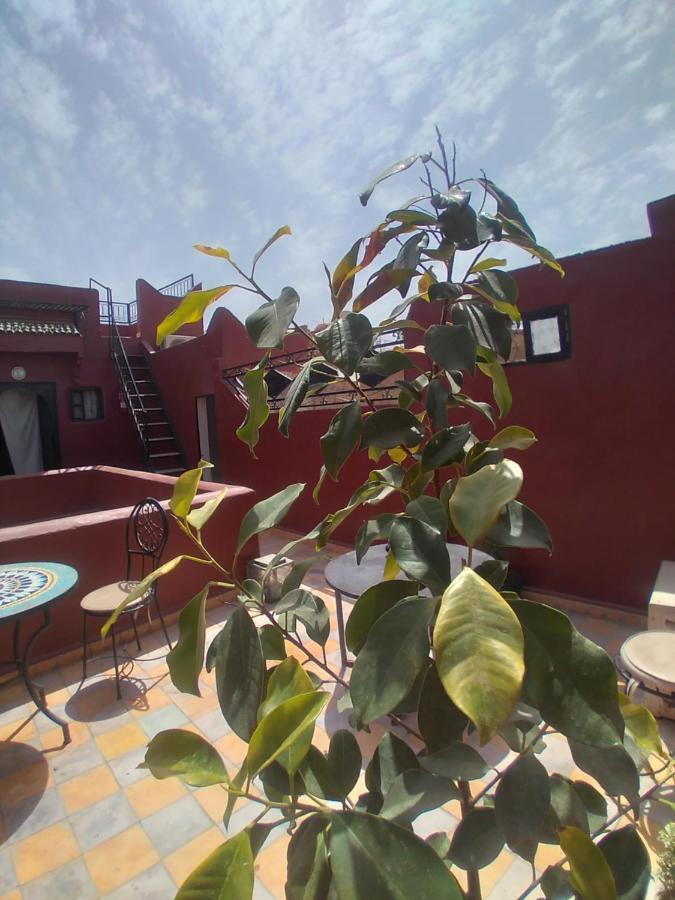 Riad 9 Derb El Bousnne Марракеш Екстер'єр фото